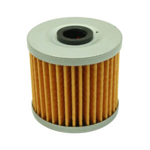 AEM Honda High Volume Fuel Filter Element