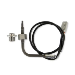 AEM RTD-Type Temperature Sensor