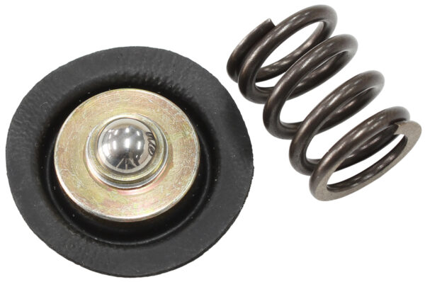 AEROFLOW REPLACEMENT DIAPHRAGM & SPRINGFOR AF66-2058 FUEL REGULATOR