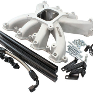 AEROFLOW GM LS CARBY INTAKE MANIFOLD CATHEDRAL PORT EFI LS1 LS2 NATURAL
