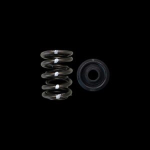 BRIAN CROWER Dual Spring & Steel Retainer Kit (Honda/Acura B18C/B16A/B17A - High Mileage Street)