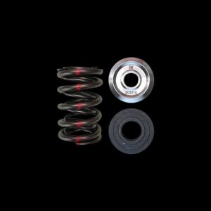BRIAN CROWER Dual Spring & Titanium Retainer & Seat Kit (Honda C30A/C32B NSX)