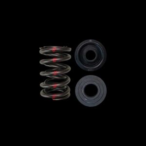 BRIAN CROWER Dual Spring & Steel Retainer & Seat Kit (Honda C30A/C32B NSX)
