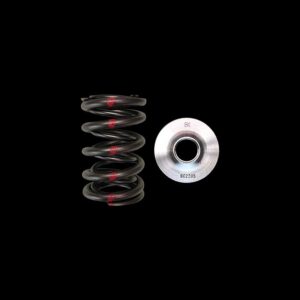 BRIAN CROWER - Dual Spring & Titanium Retainer Kit (Nissan SR20VE)