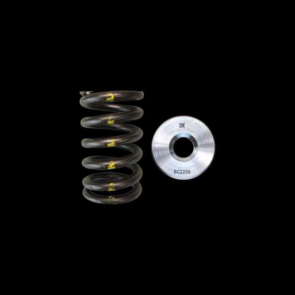 BRIAN CROWER Single Spring & Titanium Retainer Kit (Nissan TB48)