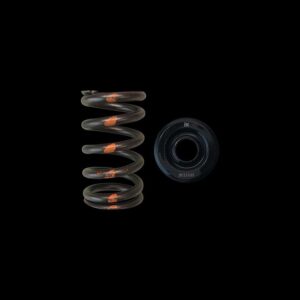 BRIAN CROWER 16x Valve Springs, Steel Retainers, Subaru Impreza WRX STi EJ257B Engines