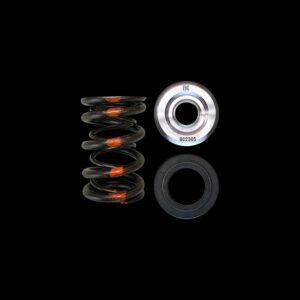 BRIAN CROWER 16x Dual Valve Springs, Titanium Retainers, Steel Seats, Subaru Impreza WRX STi EJ257B Engines