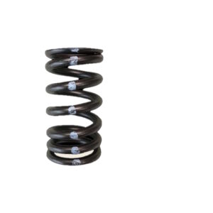 BRIAN CROWER 12x Intake Valve Springs, VW & Audi 1.8L 20v Turbo