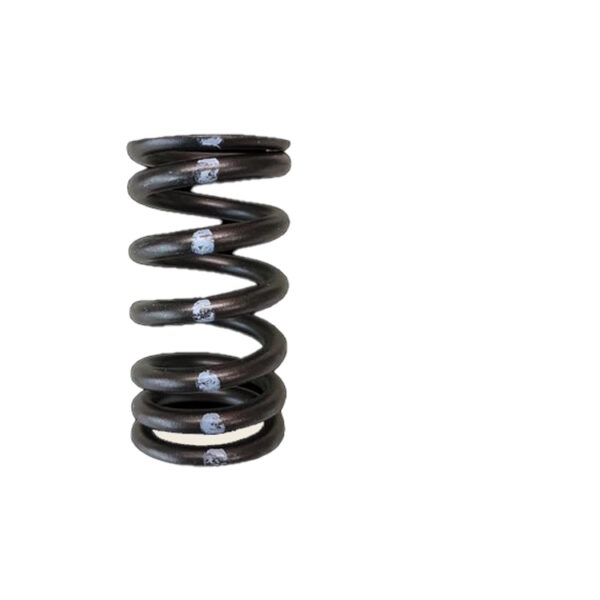 BRIAN CROWER 12x Intake Valve Springs, VW & Audi 1.8L 20v Turbo