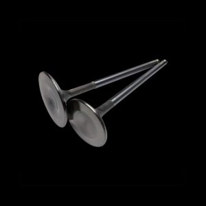 BRIAN CROWER Valves 34mm Intake (Honda/Acura B18C/B16A/B17A)