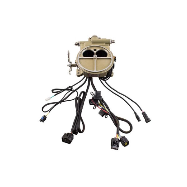 FITECH Go EFI 2 Barrel 400HP Gold EFI Conversion System - Image 2