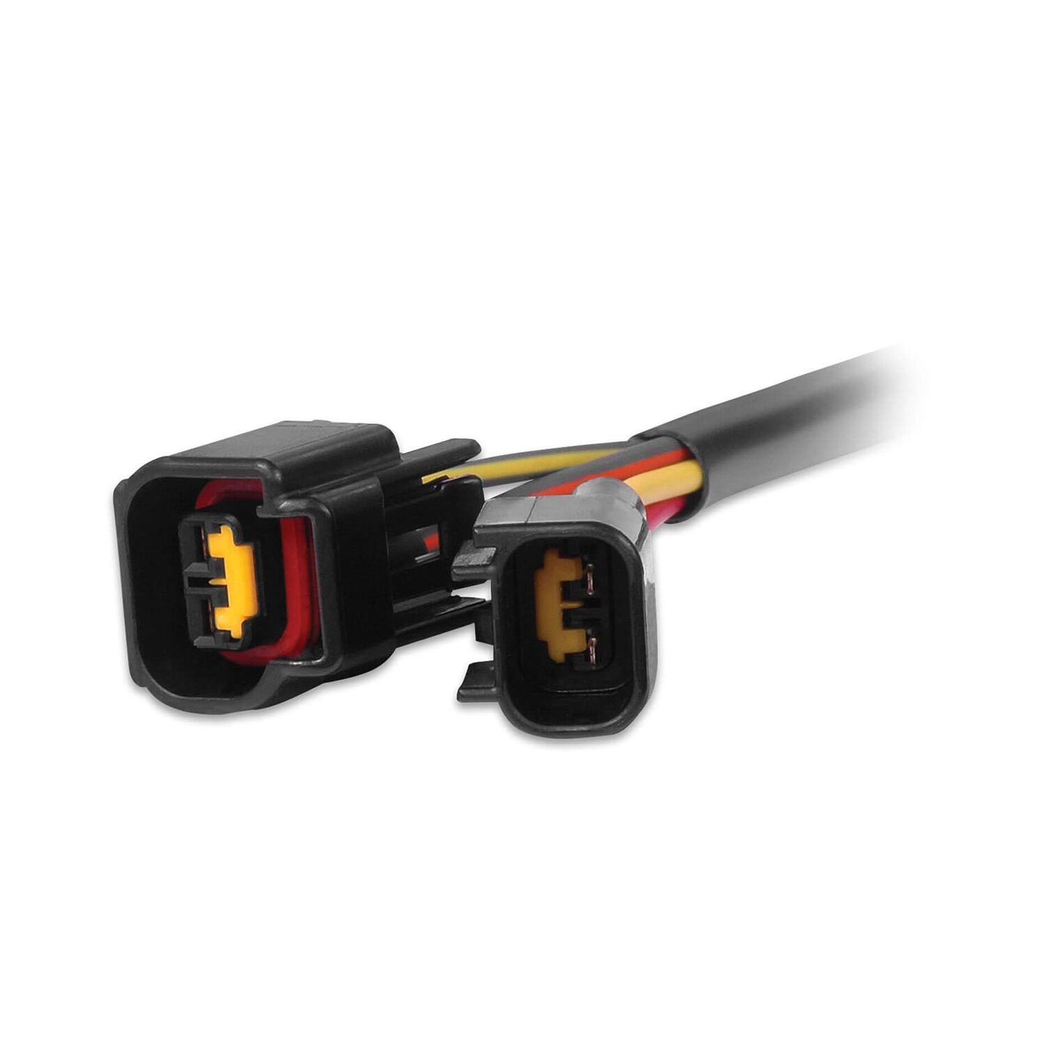 MSD Harness, Ford 4.6L Modular to Dis-4 Ign