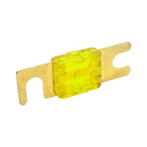 Snow Performance 100 AMP Fuse
