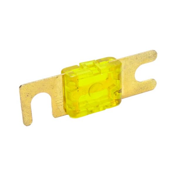 Snow Performance 100 AMP Fuse