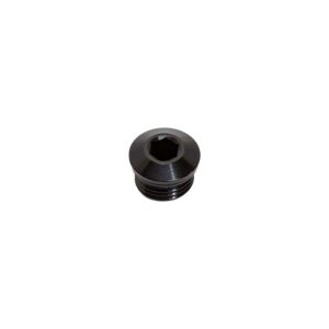 Snow Performance -6 ORB Plug