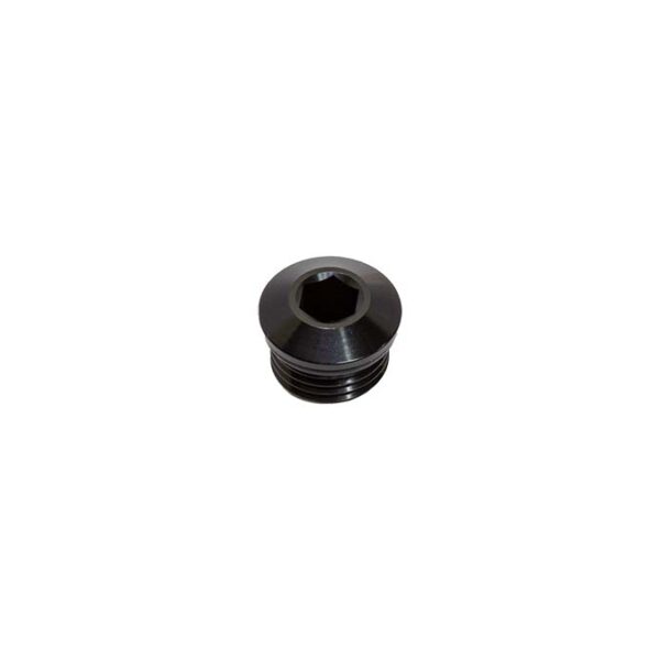 Snow Performance -6 ORB Plug