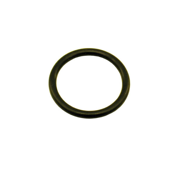NITROUS EXPRESS 1 1/8 O-Ring (Fits 5-10-12-15lb Bottle Valve)