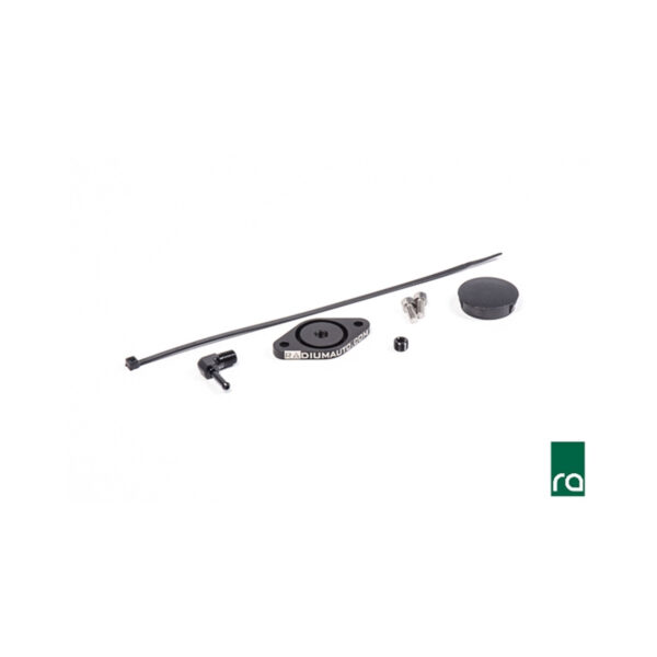 RADIUM Sound Symposer Delete Kit, 13-18 Focus ST