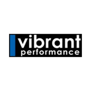 VIBRANT PERFORMANCE Replacement O-Ring for Flange 14942 and 14943