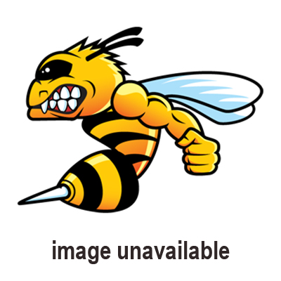 WOSP High Torque Starter Motor, 2.0 k W Counterclockwise (Extended Drive) High Performance Base Model 12 Volt