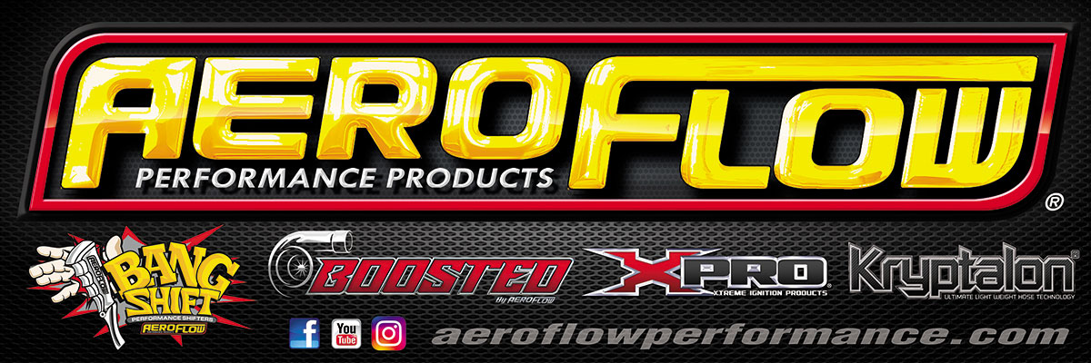 AEROFLOW OXYGEN O2 SENSOR HEX PLUG WHEN SENSOR IS REMOVED